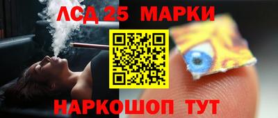 гидра Рязань
