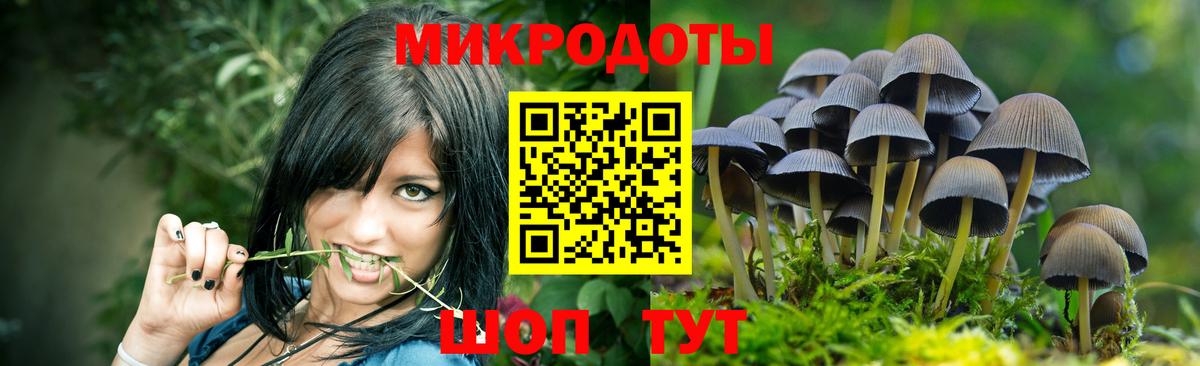 Черкесск  Галлюциногенные грибы Cubensis  Вход с VPN 